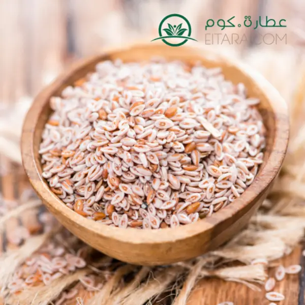 بذور قطونة